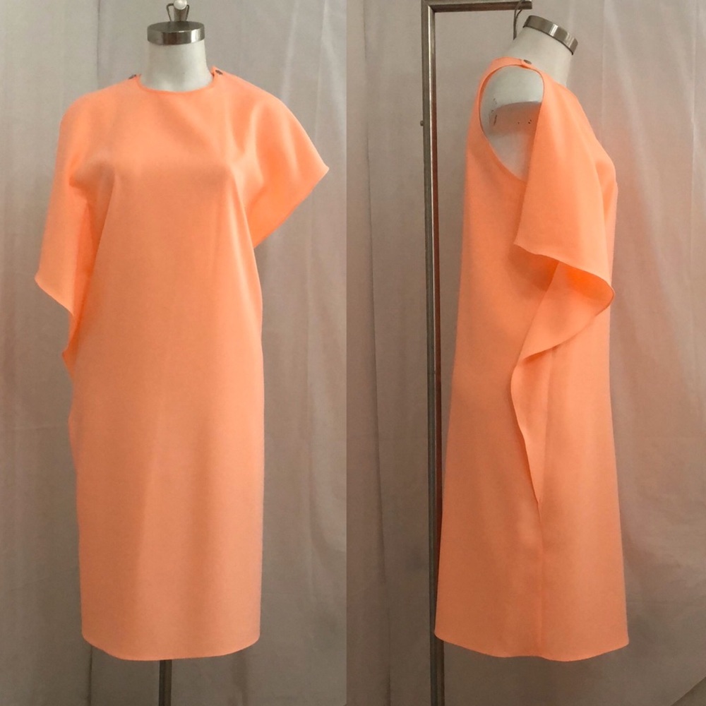 Blaque Label Sheer Ruffle Dress - Picture 7 of 8